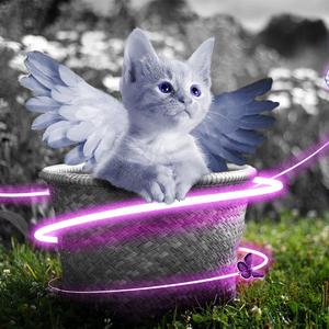 嗯～用力啊～嗯～c我～C小宁
